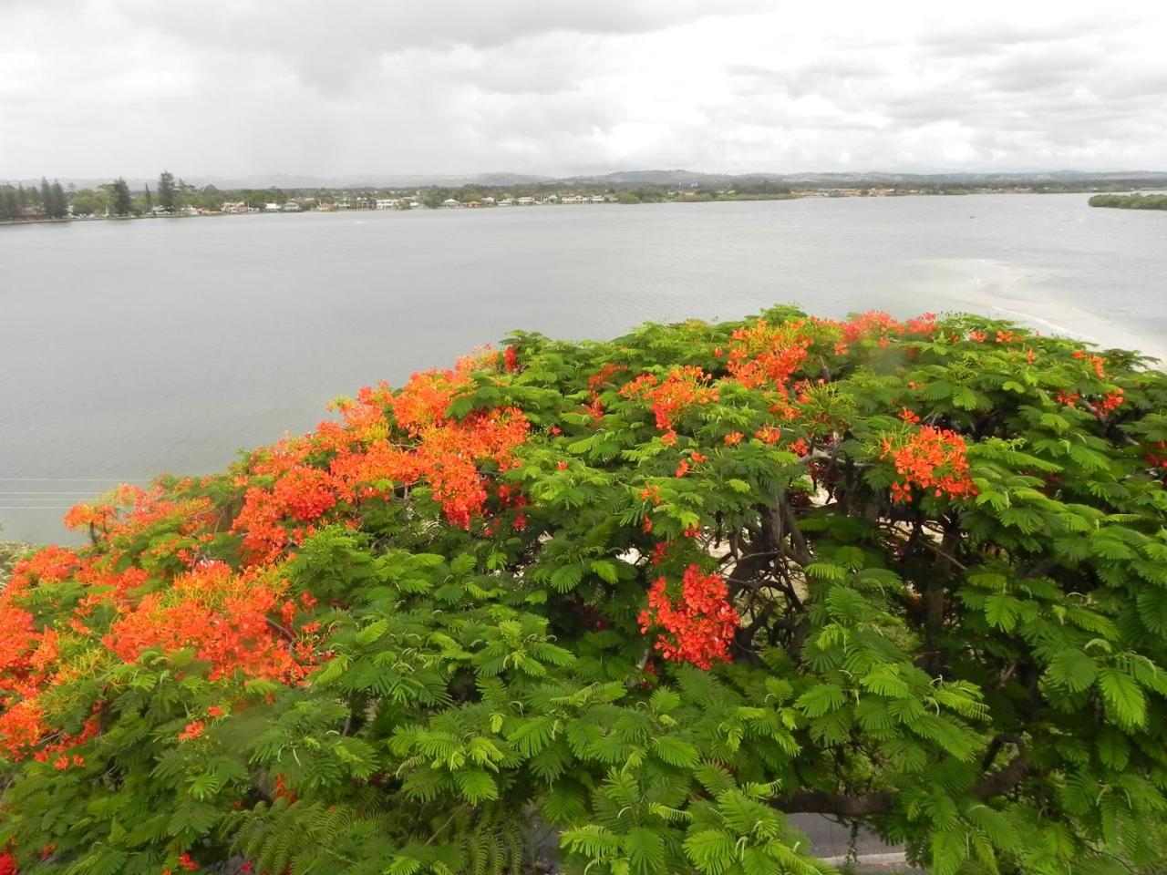 Leisure-Lee Holiday Apartments Ballina Bagian luar foto